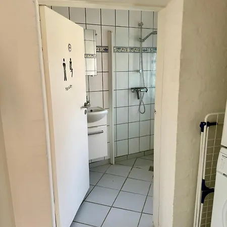 With Wifi, Close To Center, And Forrest